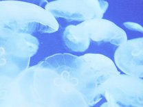 自律神経、整ってる？生理前や生理中に不調を感じる原因と自律神経を整える方法