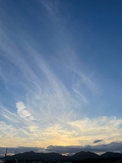 「24歳、お風呂で感じた胸の違和感…」乳がん検診を初めて受診して感じたコト