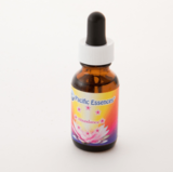 モデル界隈もザワつく「飲むだけでモテる」エッセンスを試してみた【今月のモテ】