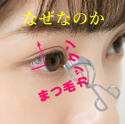 えっ私のまつ毛下手すぎ?→最強使いやすいビューラー、マスカラ神テク、パンダ目回避術までゼンブ教えます