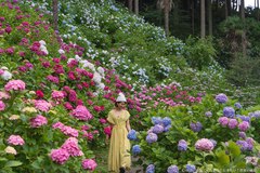 鎌倉だけじゃない！梅雨ならではの紫陽花畑を見に彼と1DAYトリップ♡【詩歩がプロデュース♡恋する私の絶景リスト】