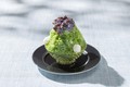 ホテルライクな絶品宇治金時♡／ザ・キャピトルホテル 東急