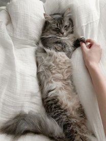 【ぼんやり知ってるだけじゃ、もったいない！】4つの月経周期の特徴とオススメの過ごし方