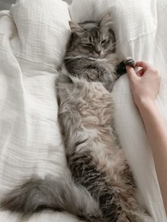 【ぼんやり知ってるだけじゃ、もったいない！】4つの月経周期の特徴とオススメの過ごし方