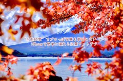 ”手前紅葉”でプロっぽ写真も夢じゃない♡iPhoneで簡単に撮れる紅葉フォトテク