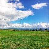 旅行など思い出投稿をする人は・・・