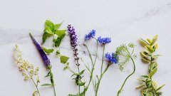 生理日付近のズキズキ頭痛はどうして起こるの？その理由と対策法