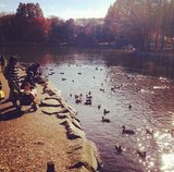 日常風景と一緒に「今日もがんばろっ」など自分の気持ちを投稿する人は・・・