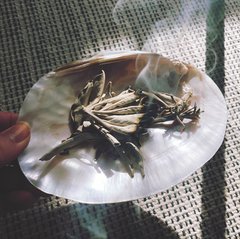 大事なのは「気」を変えること。新年を気持ちよくスタートさせる【スマッジング】って？