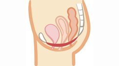 【おすすめ膣トレ！】骨盤底筋のトレーニングで、ぐらぐら尿道を引き締めて
