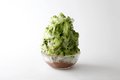 まるで綿菓子♡究極のふわふわ抹茶かき氷／ホテルニューオータニ大阪