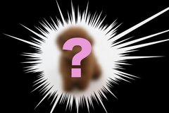 読者に「飼っているペット」のアンケートを取ったら、一番人気のペットが「○○」だった !?!?