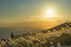 見ているだけで癒される…忙しい12月がくる前に彼と見たい黄金色の景色【詩歩がプロデュース♡恋する私の絶景リスト】