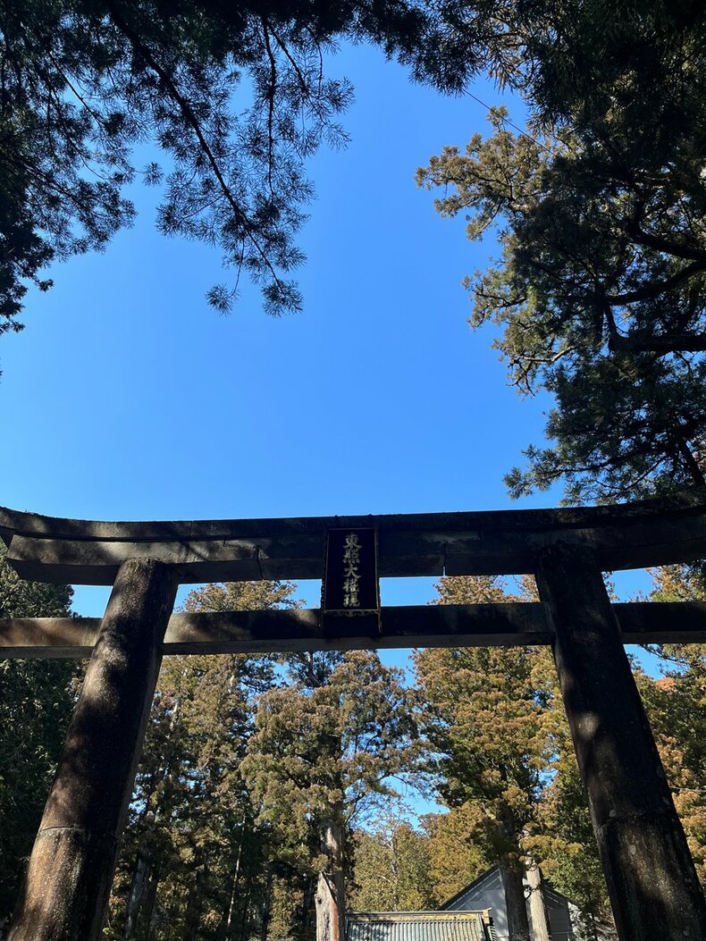 運気を上げると話題！ パワースポット神社・お寺の実体験レビュー7選 日光東照宮