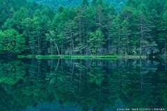 彼と一緒に静寂の時に包まれて…思わずため息がもれる幻想的な池のヒミツ【詩歩がプロデュース♡恋する私の絶景リスト】