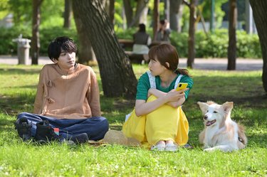 ドラマ考察 着飾る恋には理由があって もっと知りたい という川口春奈 真柴 に 横浜流星 駿 が Arweb アールウェブ ドラマ考察 着飾る恋には理由があって もっと知りたい という川口春奈 真柴 に 横浜流星 駿 が Arweb アールウェブ
