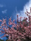 今回のお悩み:元彼を忘れられず、新しい恋に踏み出せません/初代バチェロレッテ・福田萌子の選ぶ女の頭のナカ