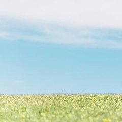 「排卵日のイライラ、どうしてる？」自分だけで抱え込まず、SOSを求めながらイライラの原因を知って生理と上手に向き合おう！