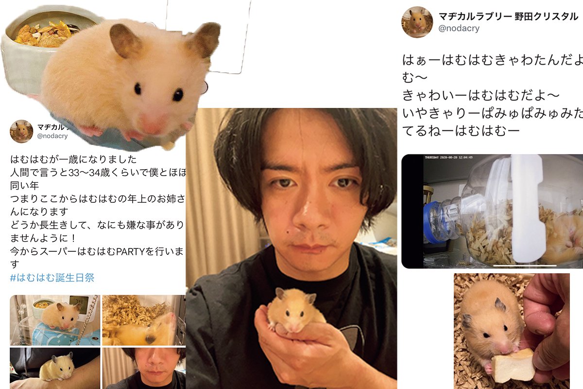 野田クリスタル め 名言すぎる 金メダルを取った選手もきっと 優しさ溢れる言葉にじーん Arweb アールウェブ