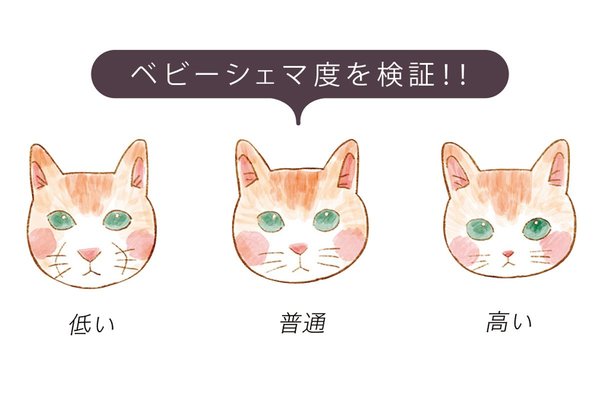 可愛い子はシェマ度が高い!?」令和のベビーフェイス【シェマ顔】４つの 