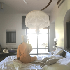 美容のプロも5日で実感！  心とカラダを美しくする1番の近道って？【ビューティのスペシャリストが答えます】