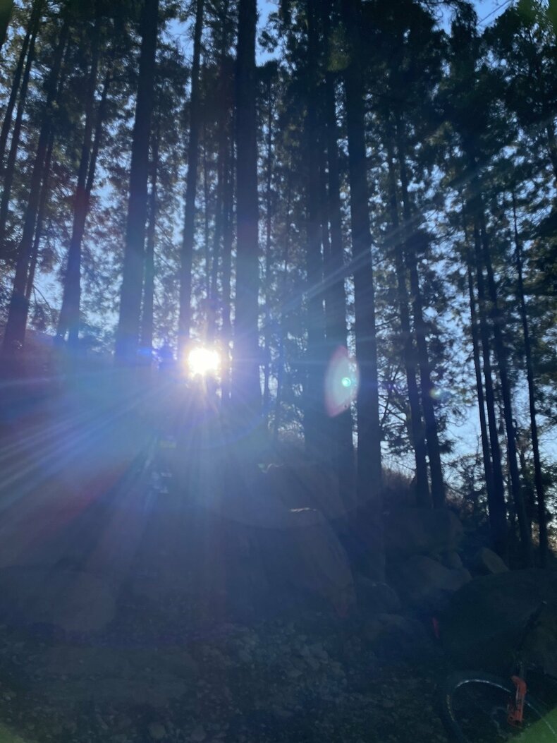 初代バチェロレッテ・福田萌子の選ぶ女の頭のナカ
