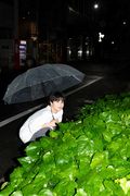 超特急・ハル/柏木 悠