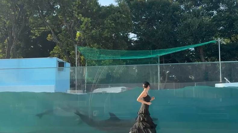 ar girl。伏屋璃乃