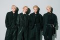 WOLF HOWL HARMONY。ar5月号より