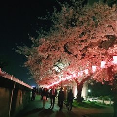 【ノンフィクションラブ】私が不倫をやめた理由「30歳を控え、このままじゃいけない…」