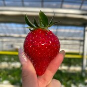 【生理前の食欲モンスターとどう戦う?】水分摂取や食欲を抑える食べ方など私がやっている5つの対処法