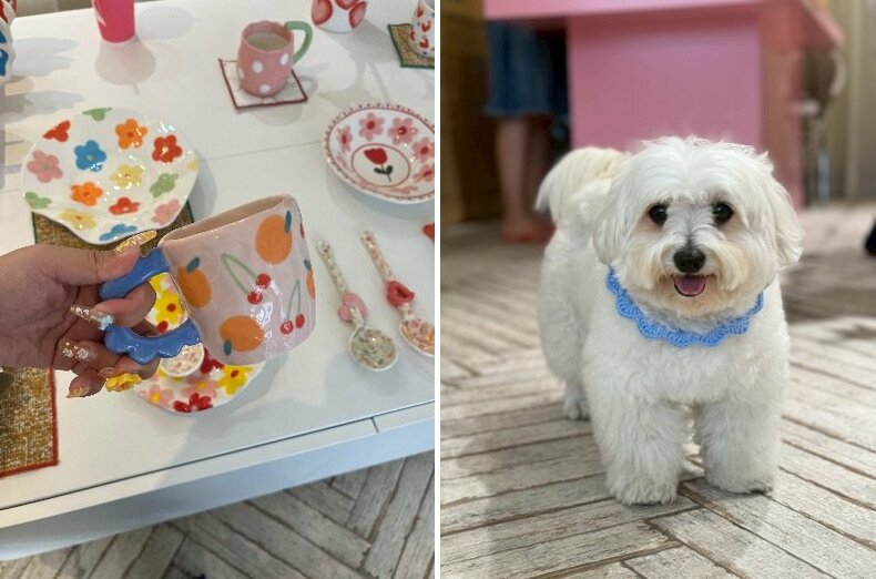 韓国「vannes」の雑貨と看板犬フチュ