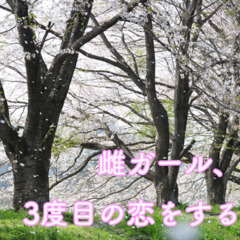 【後編】雌ガール、27の恋はただまっすぐに