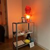 入口の真横のラック オブジェは一目惚れだそうです