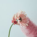 花のある暮らしに憧れるけど、飾るのムズい…【参考にしたい業界人のお花インテリア】