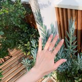 美しさは細部に宿る！ハンドケアと手が綺麗に見えるネイルデザイン3選♡【田原可南子】