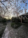 今回のテーマ:30歳、キャリアを取るか家族を取るかで悩んでいます/初代バチェロレッテ・福田萌子