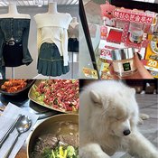 【2024年最新】韓国の美容医療からおしゃれスポットまで全制覇!韓国在住エディターが本気でおすすめする韓国旅行で行きたいトレンドスポットまとめ♡