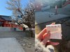 花園神社