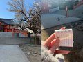 花園神社