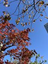 今回のお悩み:愚痴や不平不満を言ってしまう…批判的な考え方から脱却したいです/初代バチェロレッテ・福田萌子の選ぶ女の頭のナカ